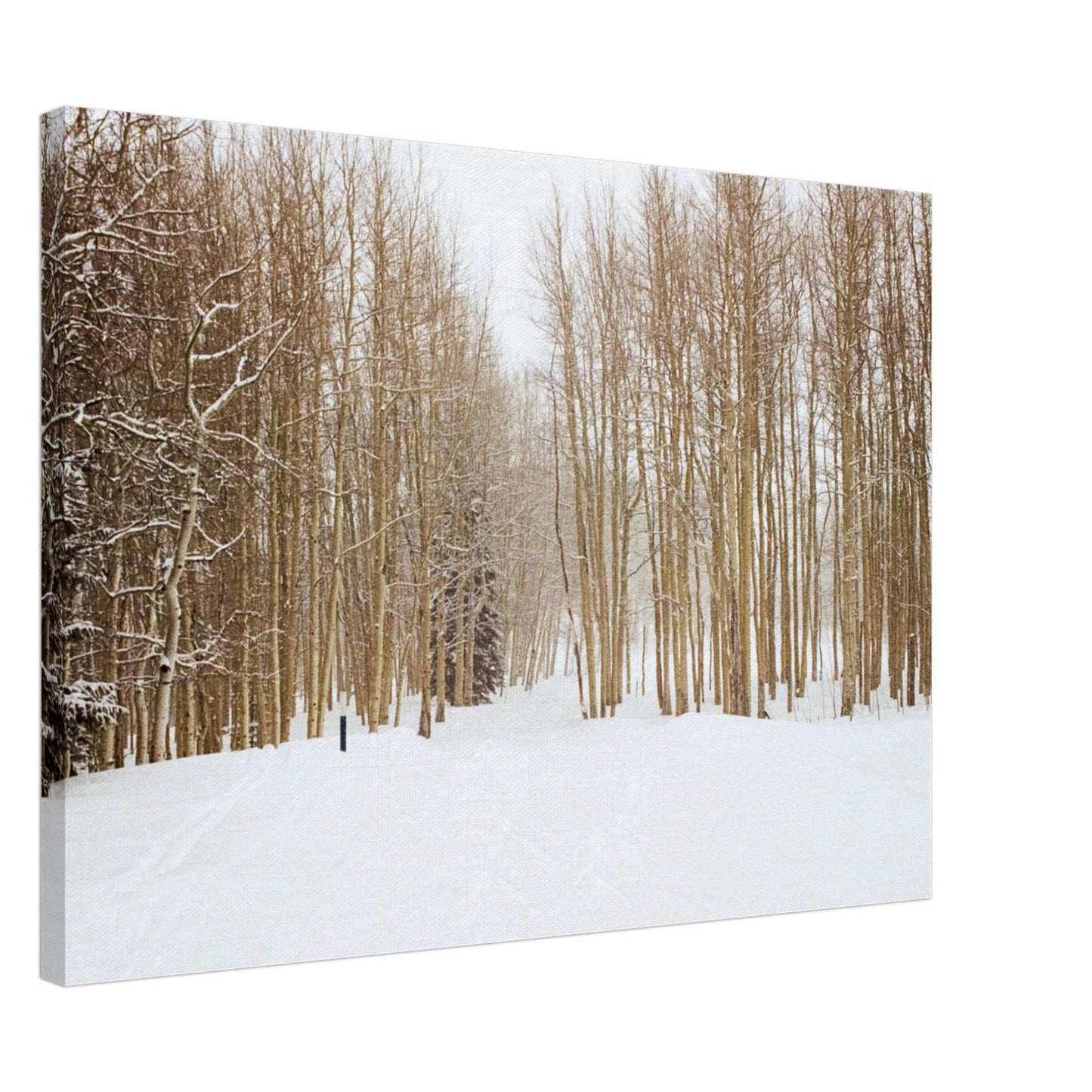 'Snow Trek' - Canvas Print