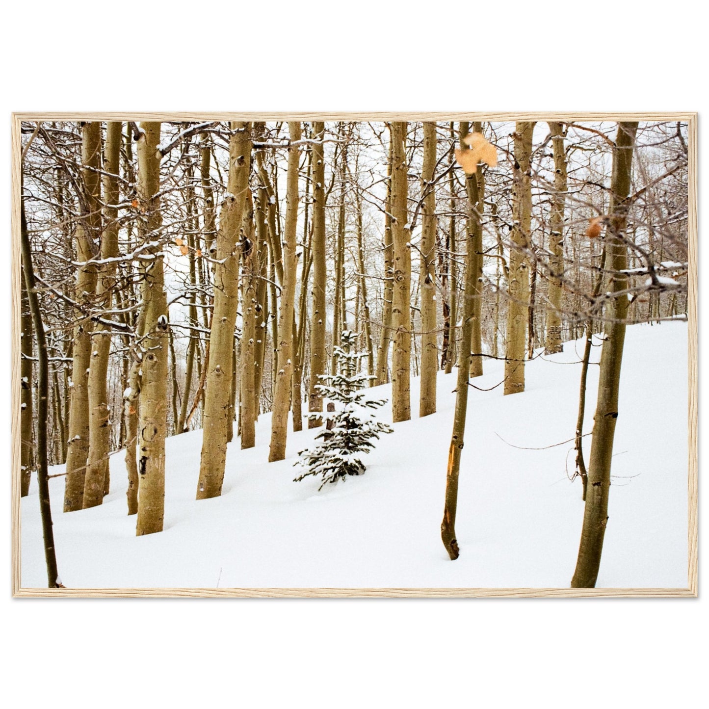 'New Beginnings' - Matte Paper Wooden Framed Print