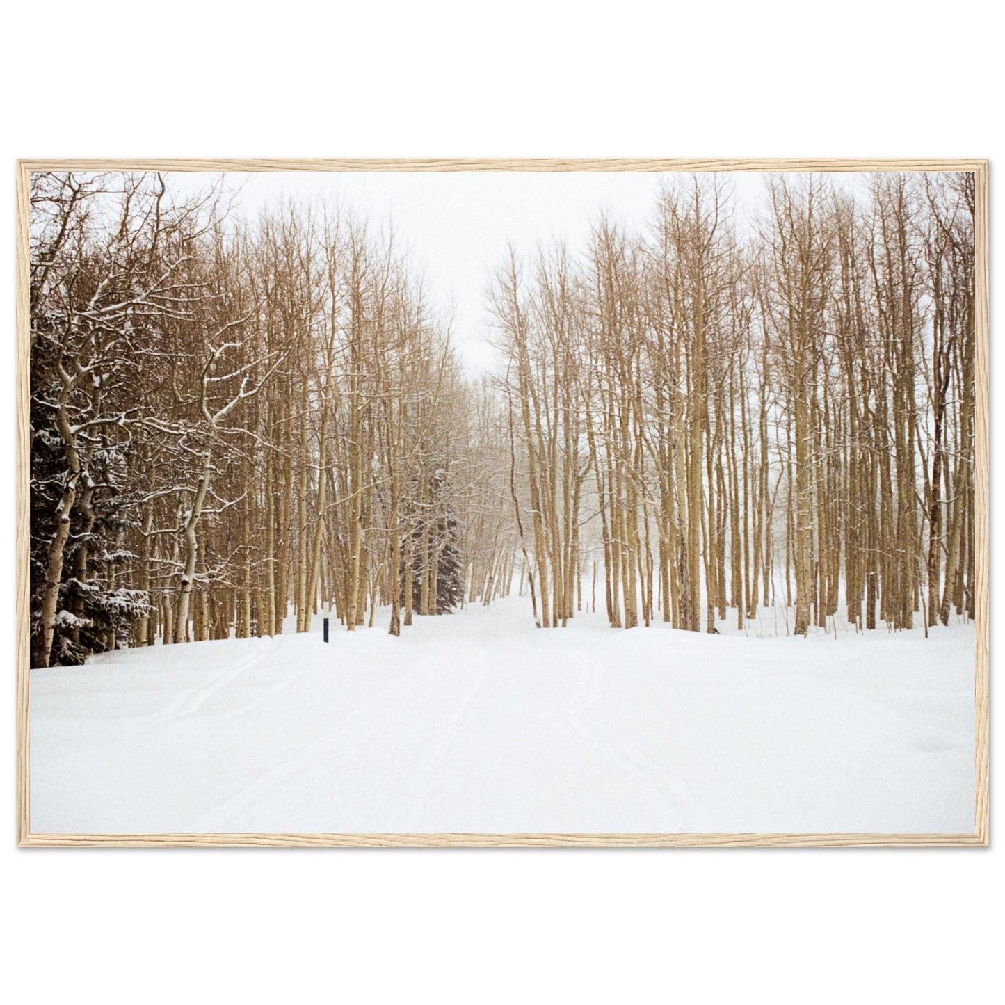'Snow Trek' - Matte Paper Wooden Framed Print