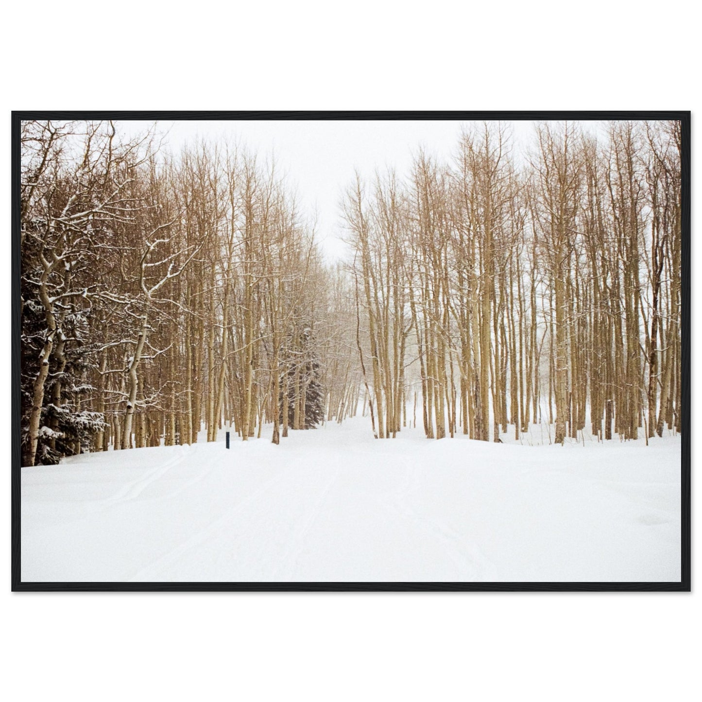 'Snow Trek' - Matte Paper Wooden Framed Print