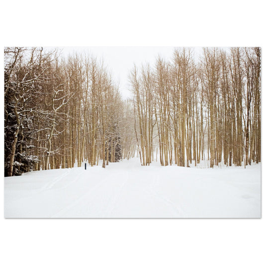 'Snow Trek' - Foam Board Print