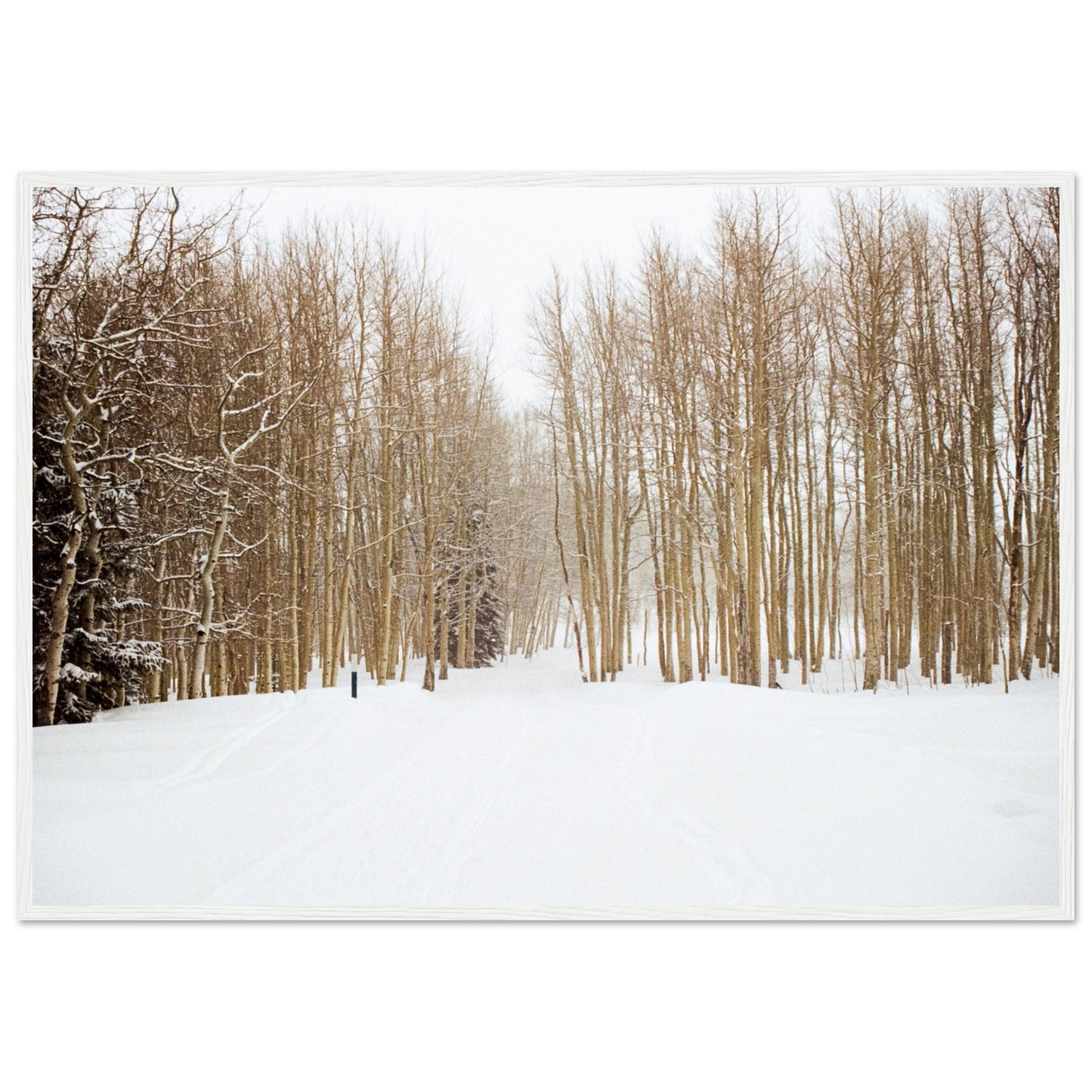 'Snow Trek' - Matte Paper Wooden Framed Print