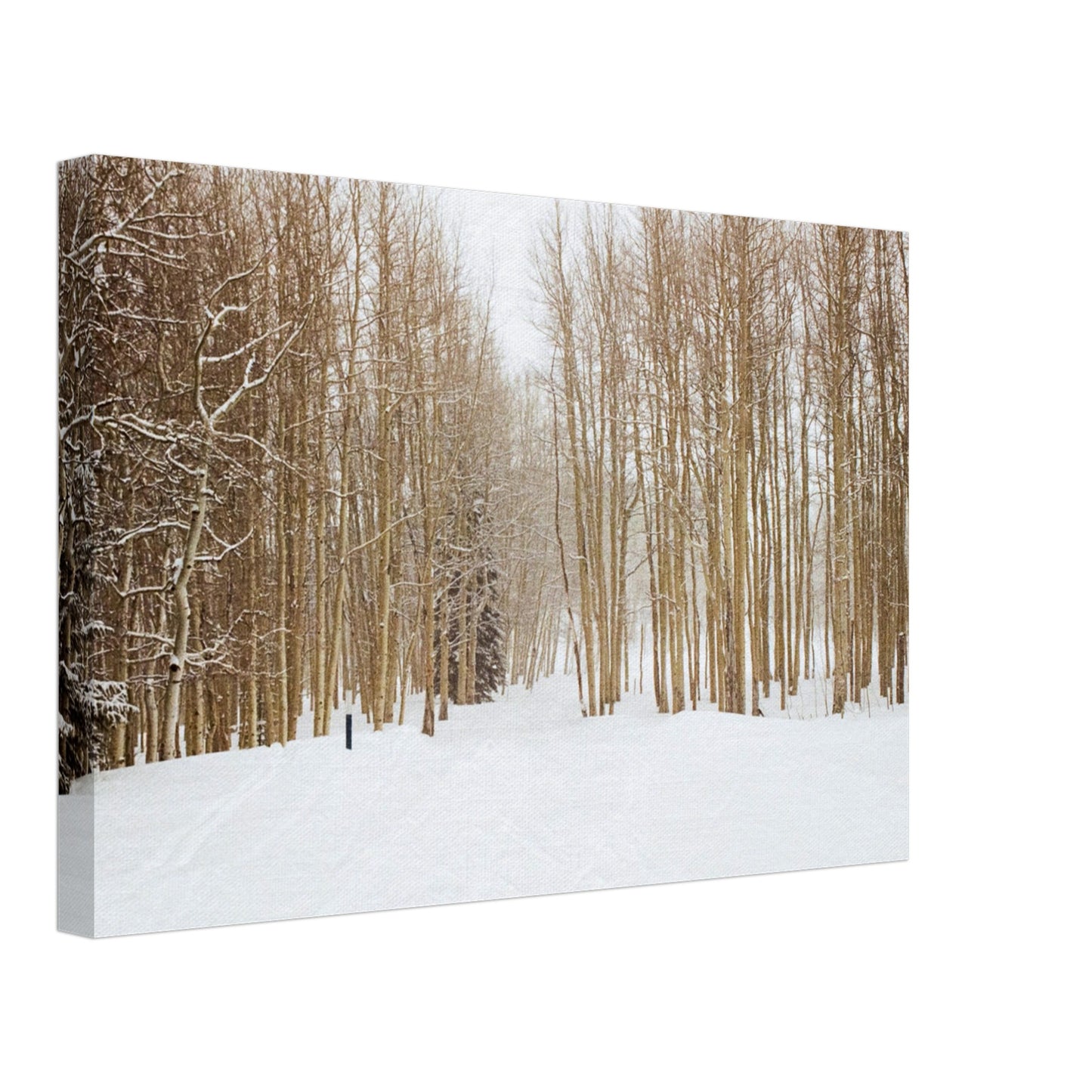 'Snow Trek' - Canvas Print