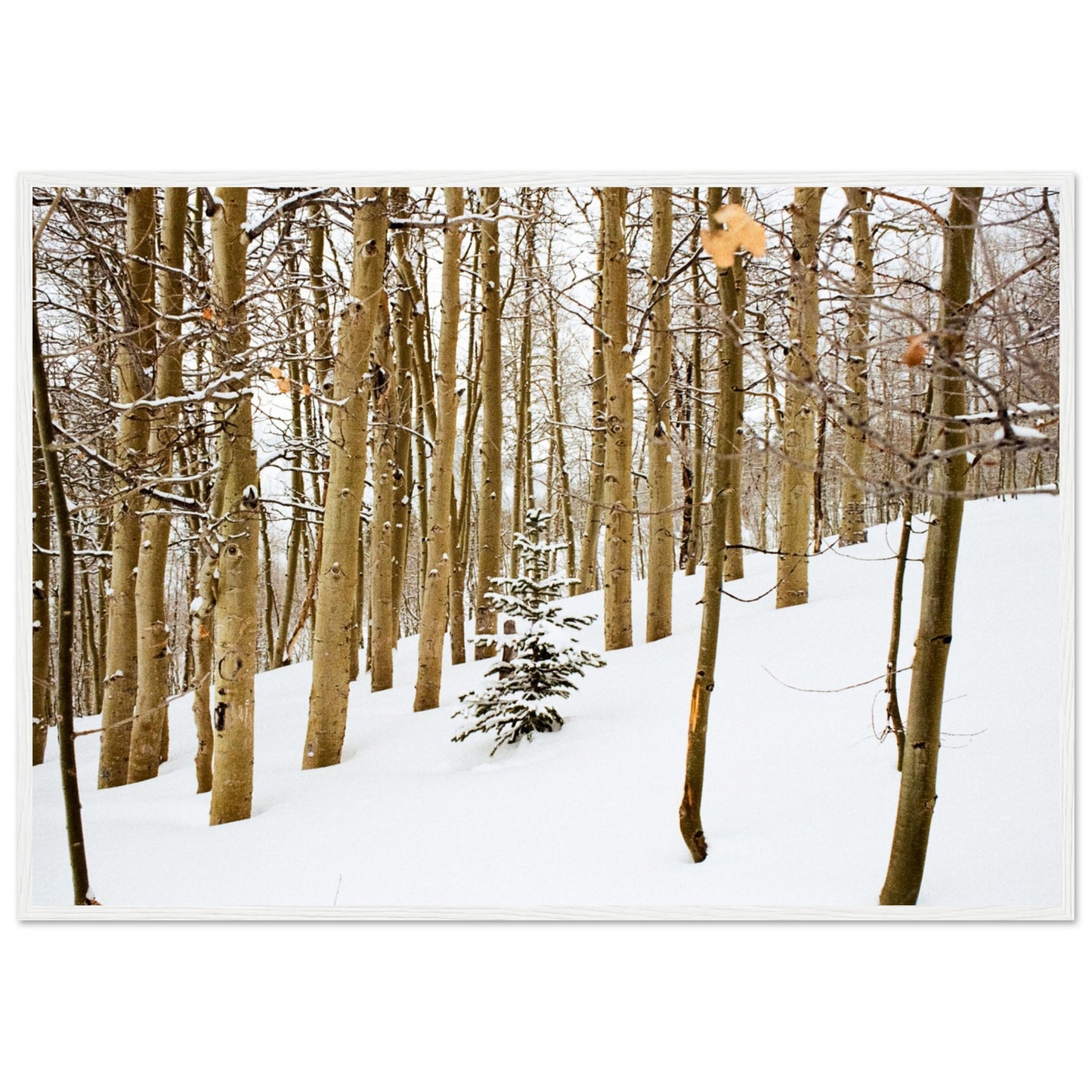 'New Beginnings' - Matte Paper Wooden Framed Print