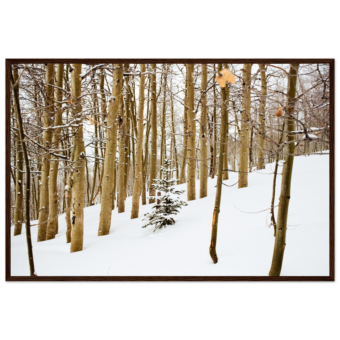 'New Beginnings' - Matte Paper Wooden Framed Print