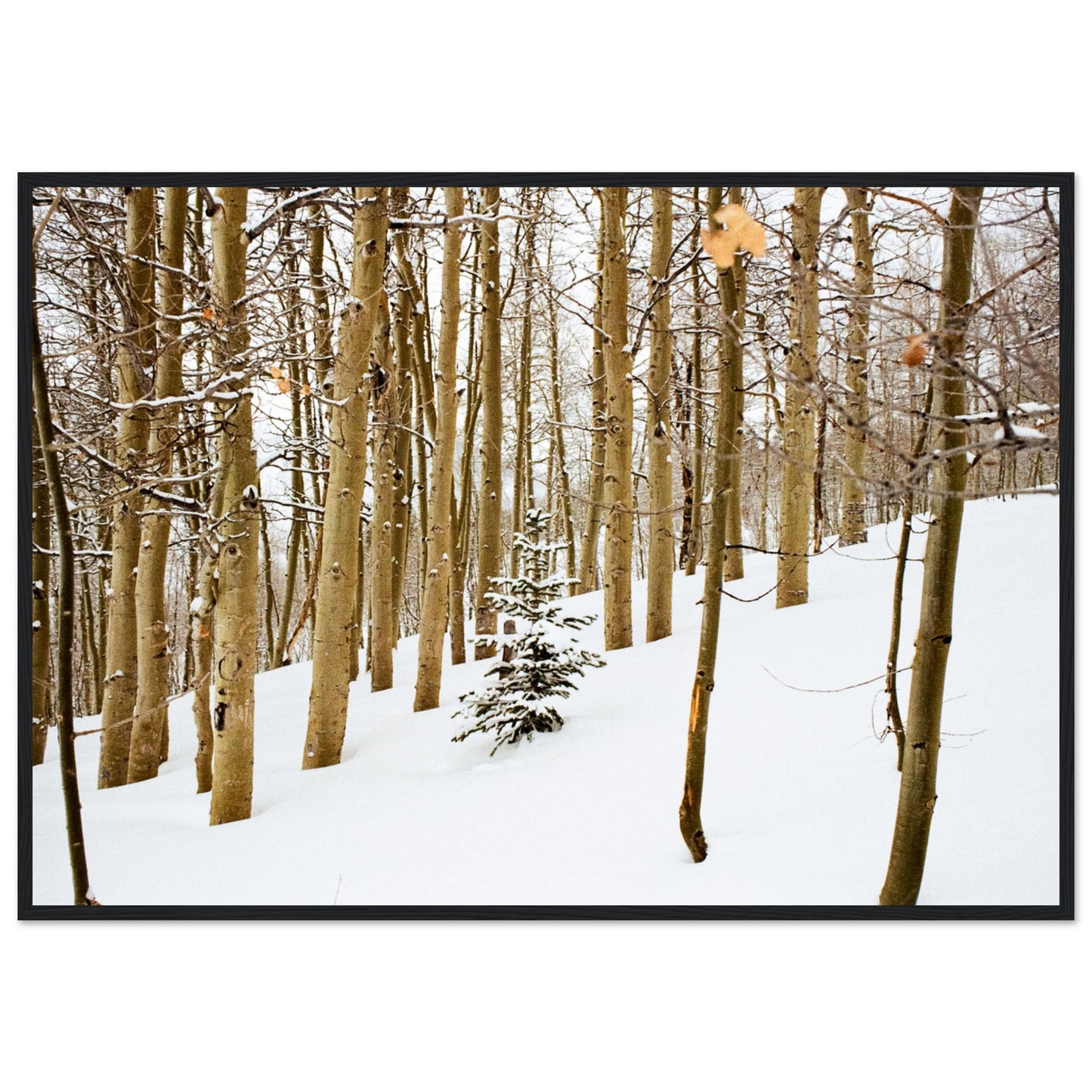 'New Beginnings' - Matte Paper Wooden Framed Print
