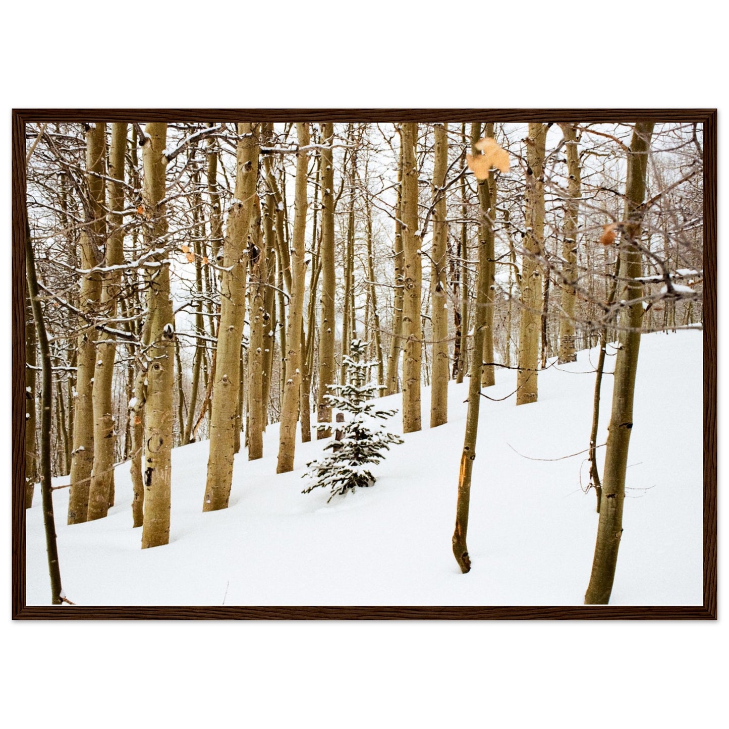 'New Beginnings' - Matte Paper Wooden Framed Print