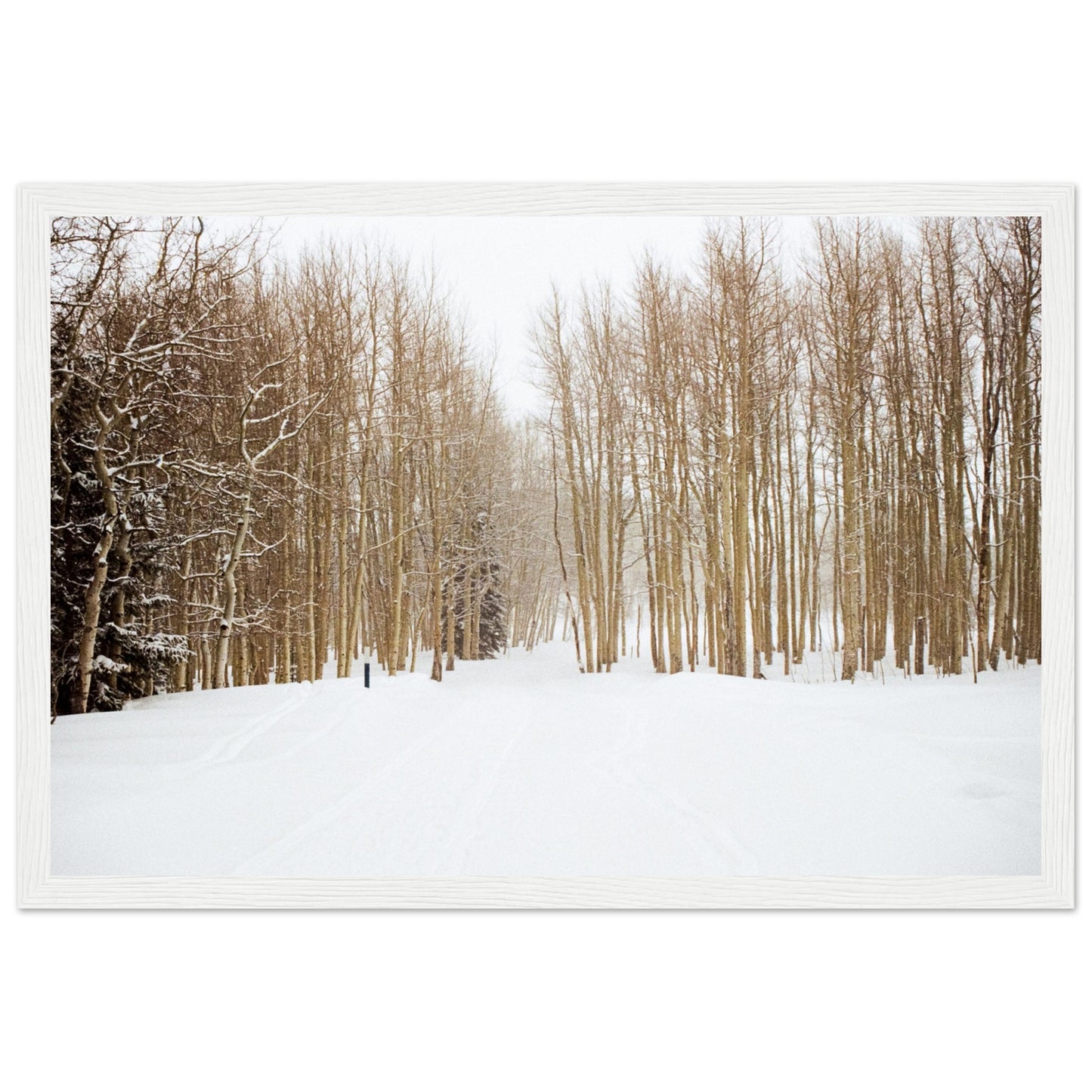 'Snow Trek' - Matte Paper Wooden Framed Print