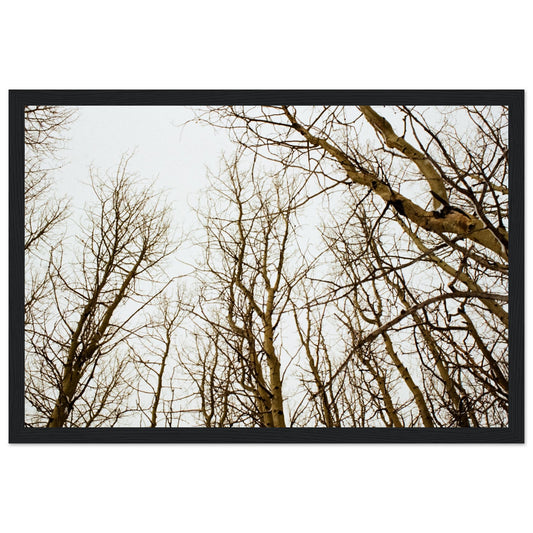 'Tree Tops' - Matte Paper Wooden Framed print (Christmas)