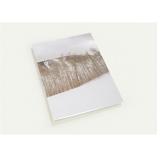 Pack of 10, Christmas, Greeting Cards (with standard envelopes)