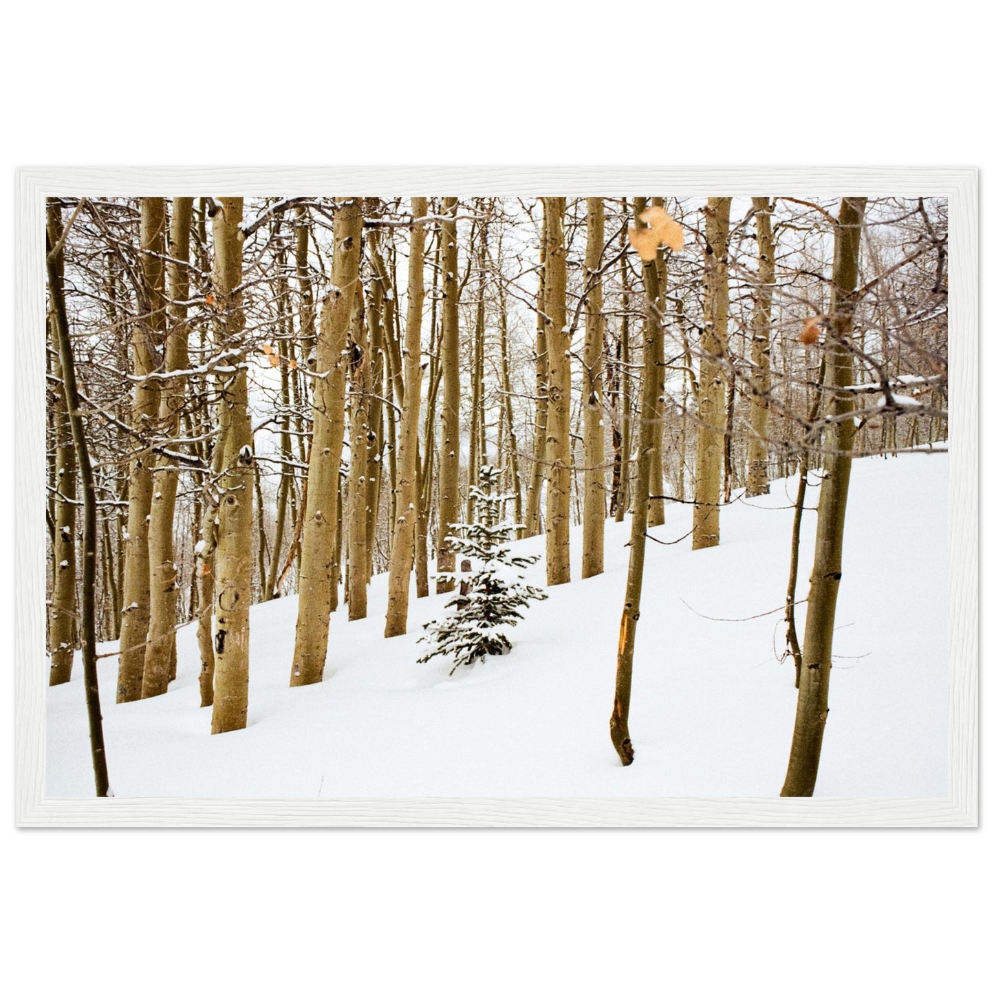 'New Beginnings' - Matte Paper Wooden Framed Print