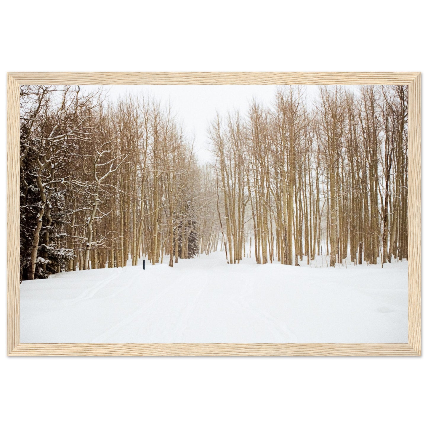 'Snow Trek' - Matte Paper Wooden Framed Print