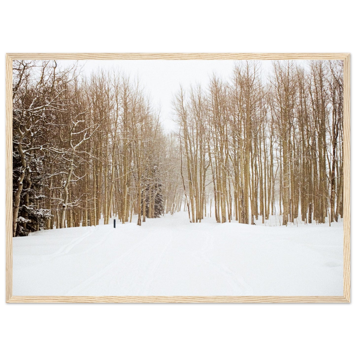 'Snow Trek' - Matte Paper Wooden Framed Print