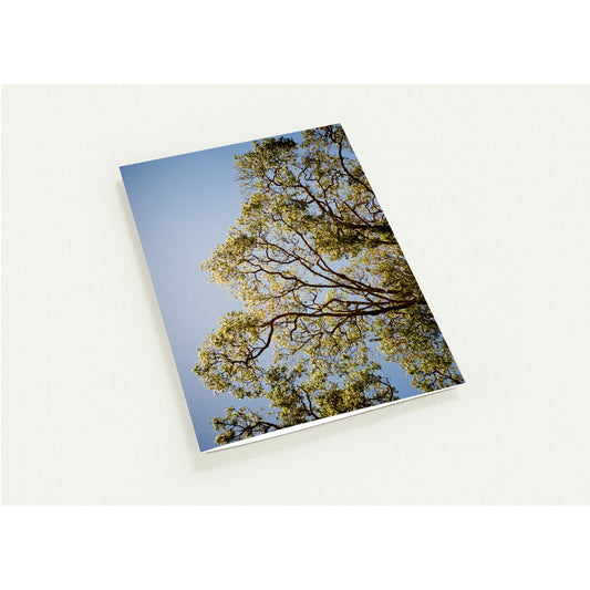 Pack of 10, Double Sided, Afternoon Greeting Cards (with envelopes)