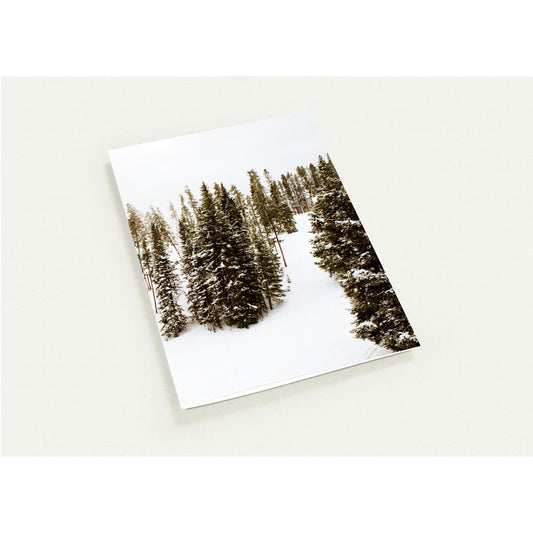 Pack of 10, Christmas, Greeting Cards (with standard envelopes)