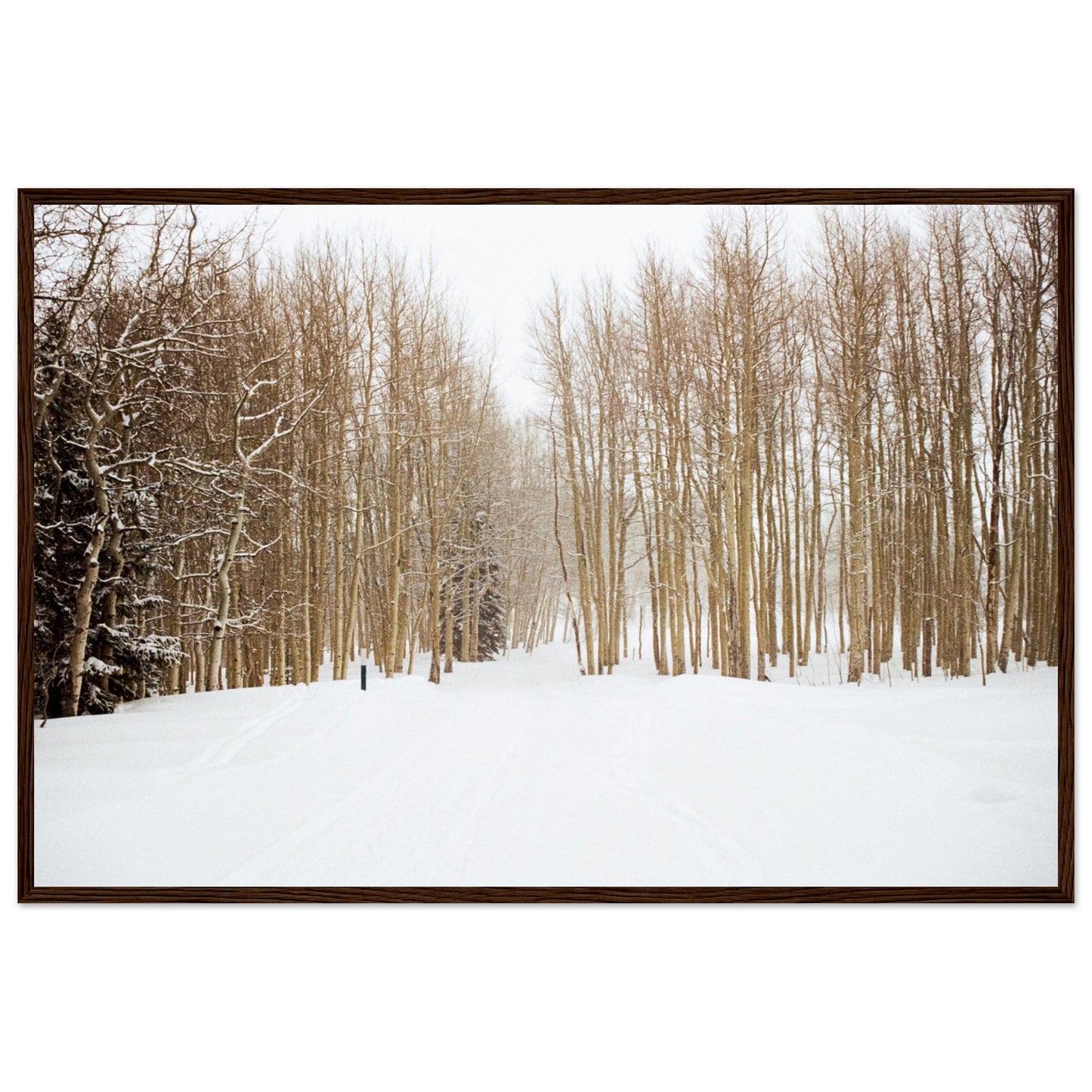 'Snow Trek' - Matte Paper Wooden Framed Print