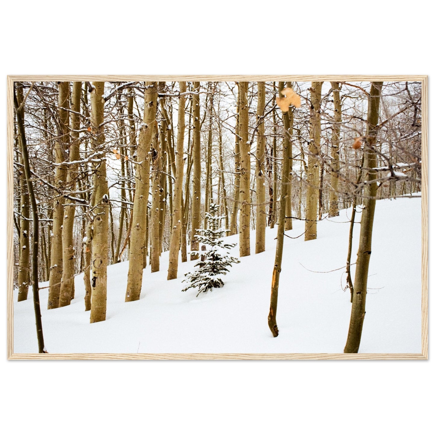 'New Beginnings' - Matte Paper Wooden Framed Print