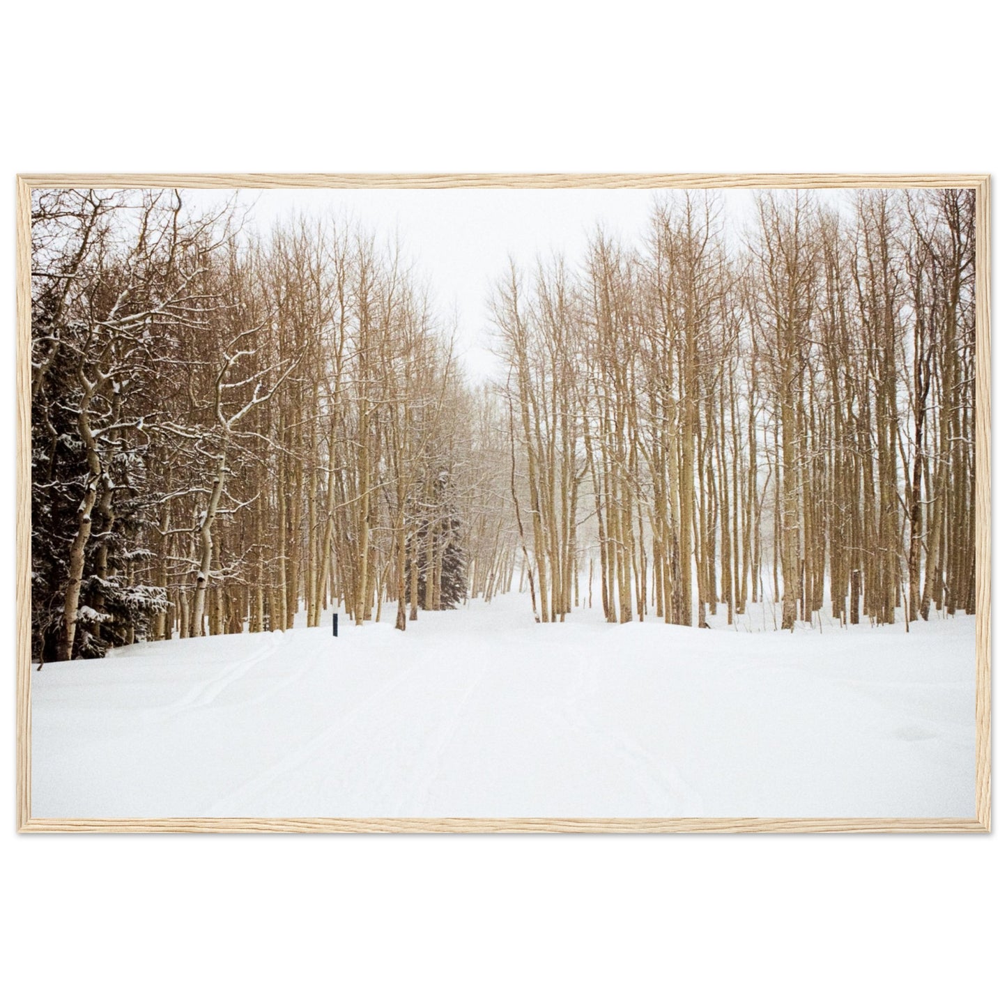 'Snow Trek' - Matte Paper Wooden Framed Print