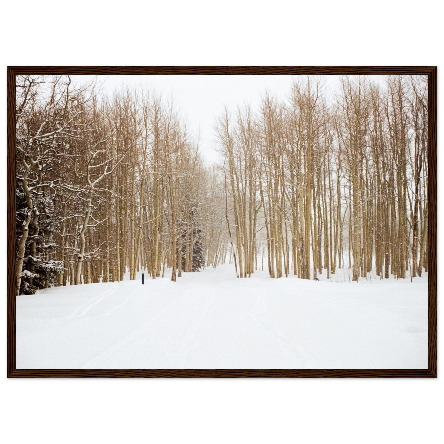 'Snow Trek' - Matte Paper Wooden Framed Print