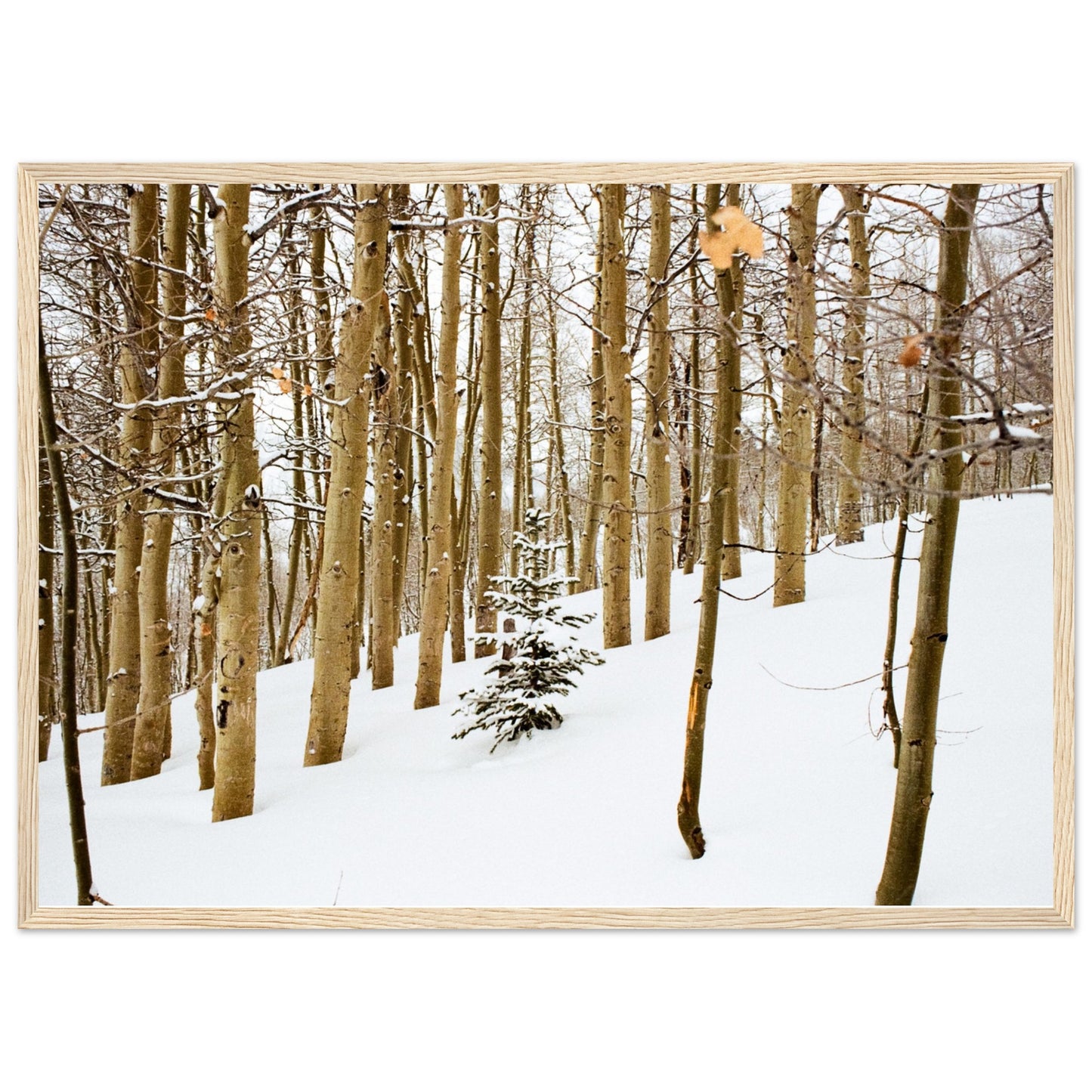 'New Beginnings' - Matte Paper Wooden Framed Print