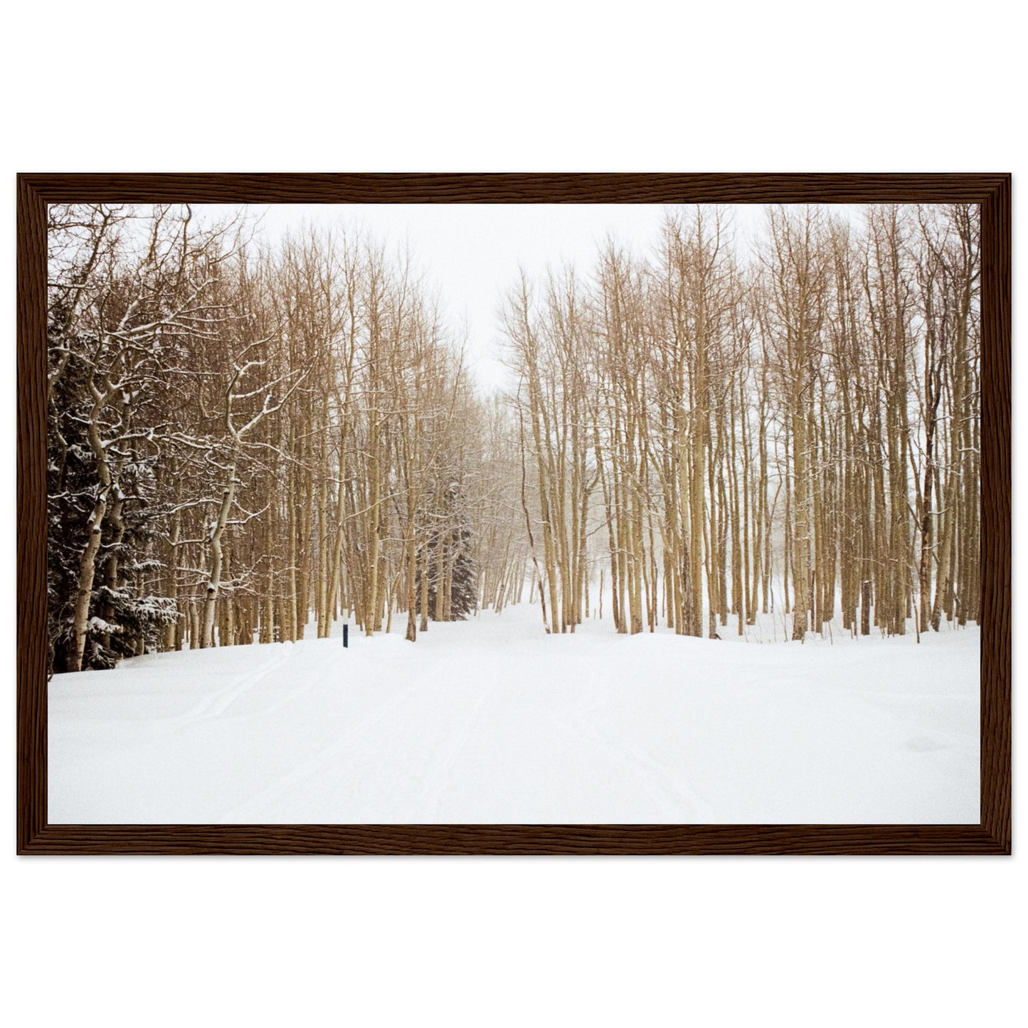 'Snow Trek' - Matte Paper Wooden Framed Print