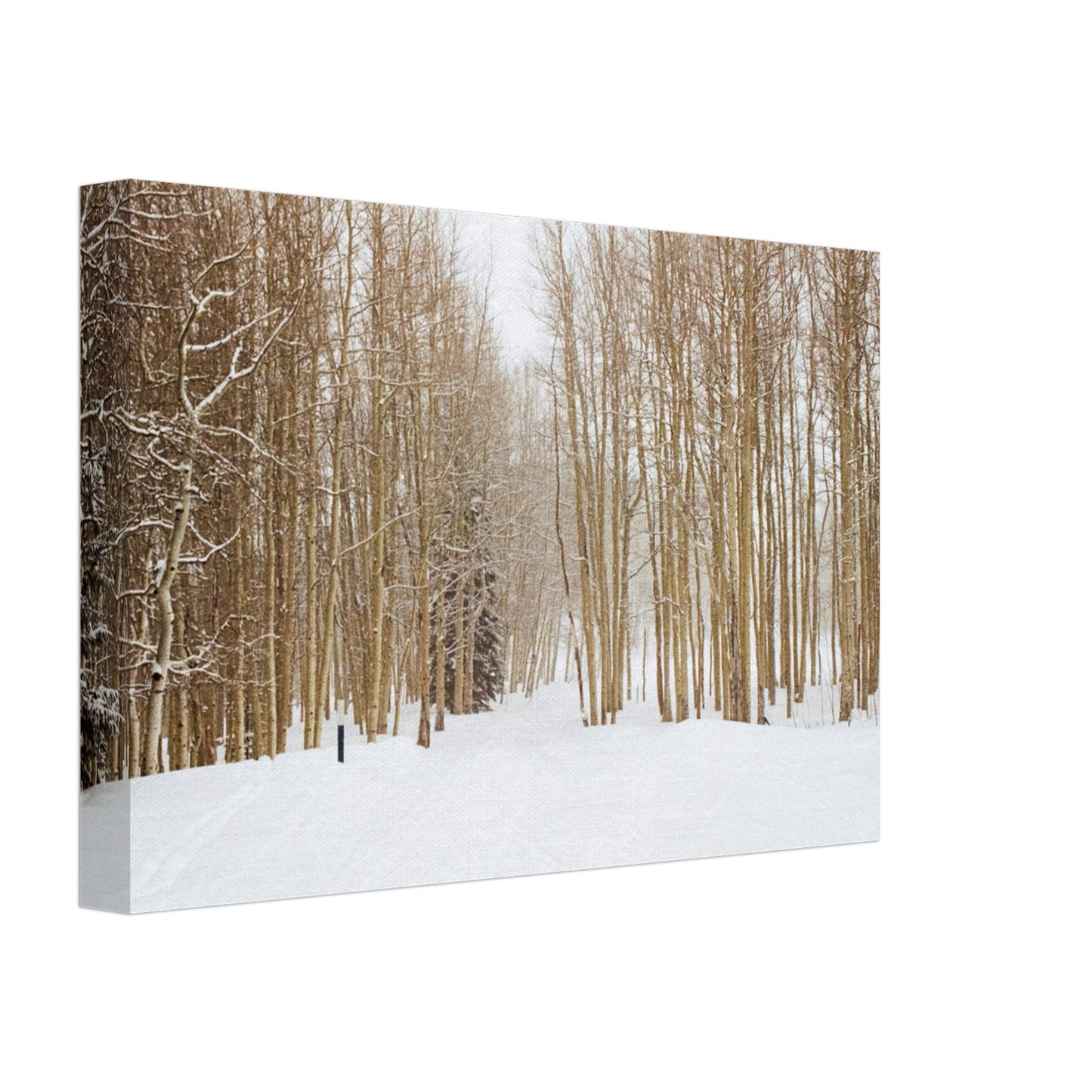 'Snow Trek' - Canvas Print