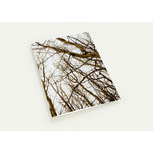Pack of 10, Christmas, Greeting Cards (with standard envelopes)