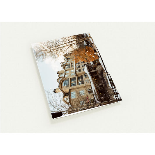 Pack of 10, Christmas, Greeting Cards (with standard envelopes)