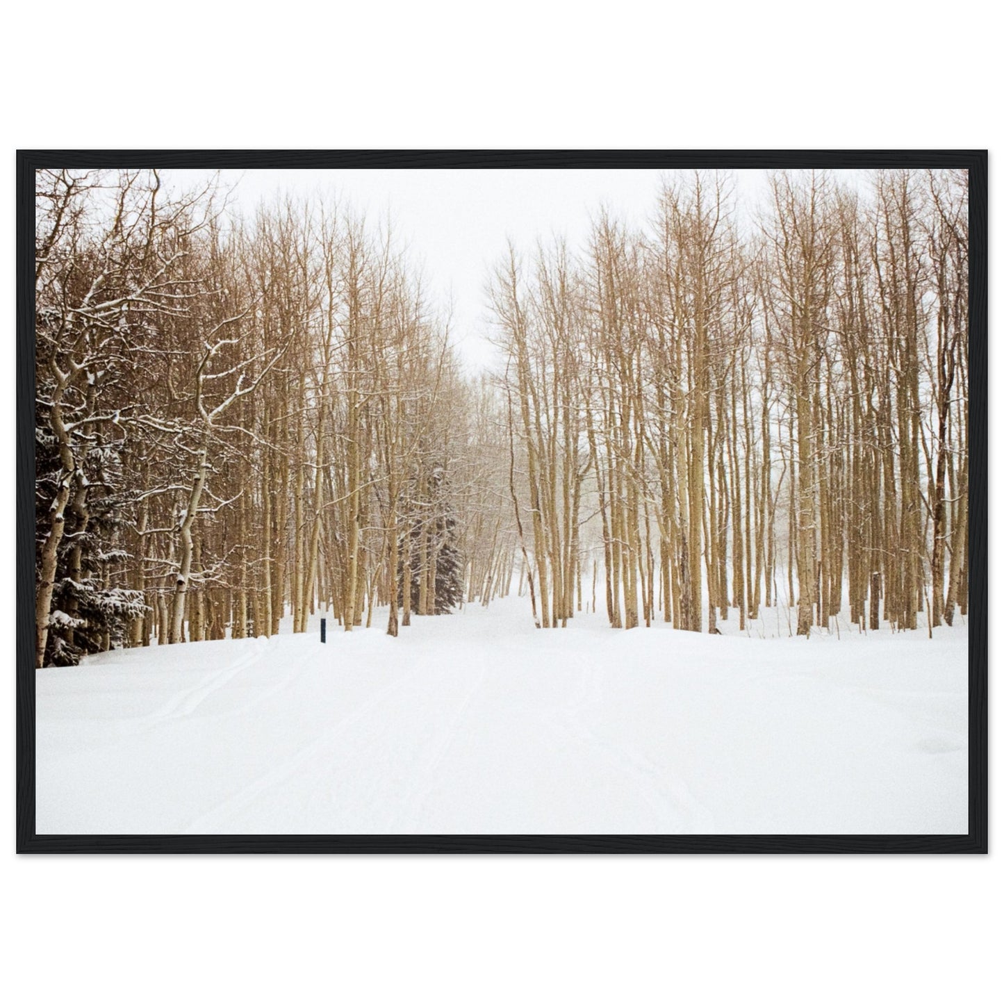 'Snow Trek' - Matte Paper Wooden Framed Print