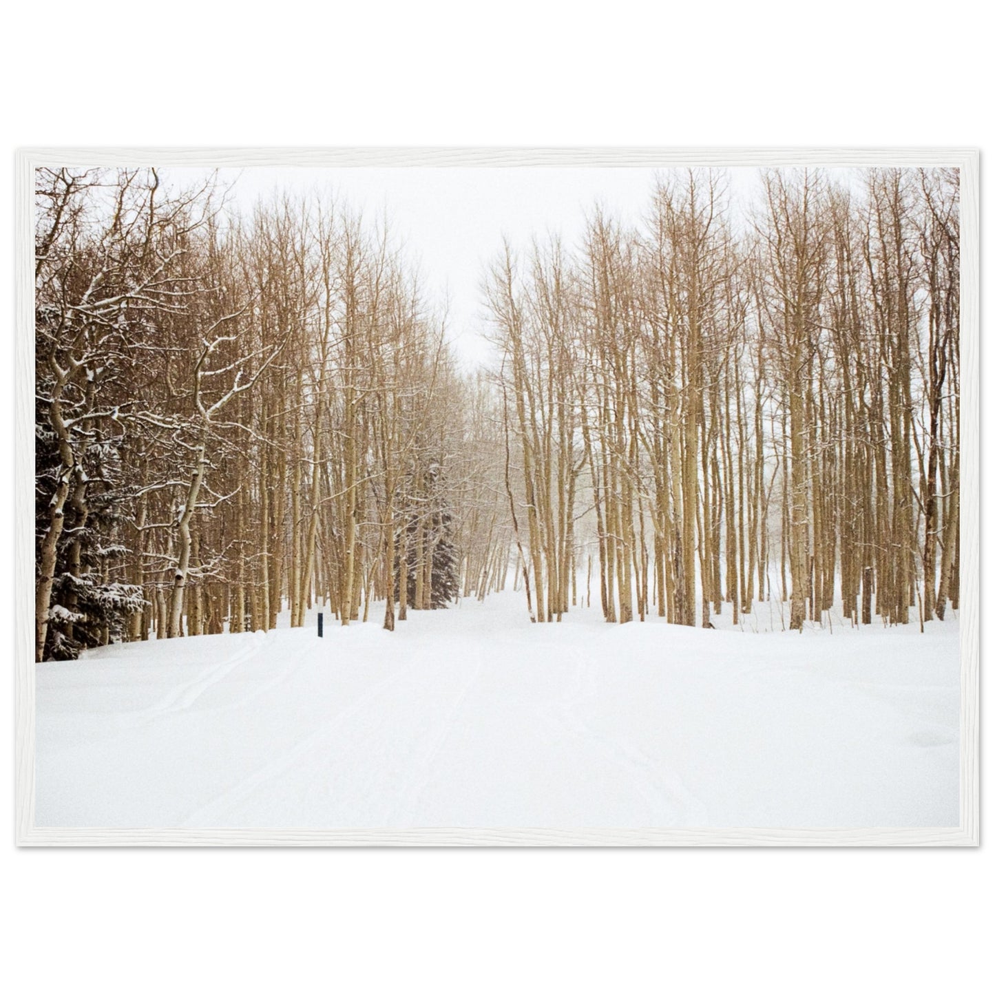 'Snow Trek' - Matte Paper Wooden Framed Print