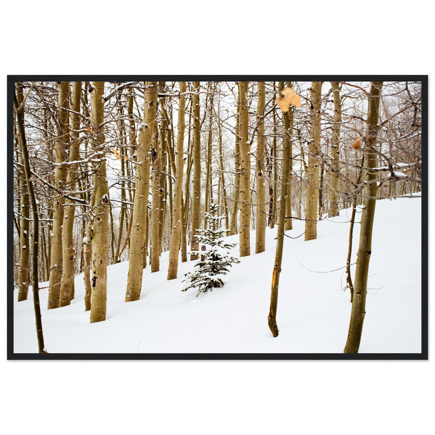 'New Beginnings' - Matte Paper Wooden Framed Print