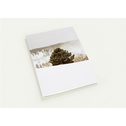 Pack of 10, Christmas, Greeting Cards (with standard envelopes)