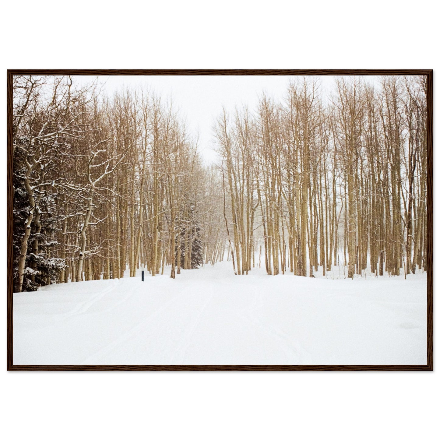 'Snow Trek' - Matte Paper Wooden Framed Print