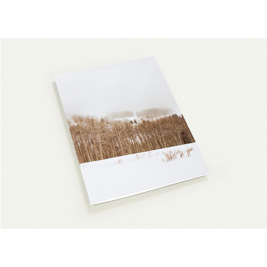 Pack of 10, Christmas, Greeting Cards (with standard envelopes)