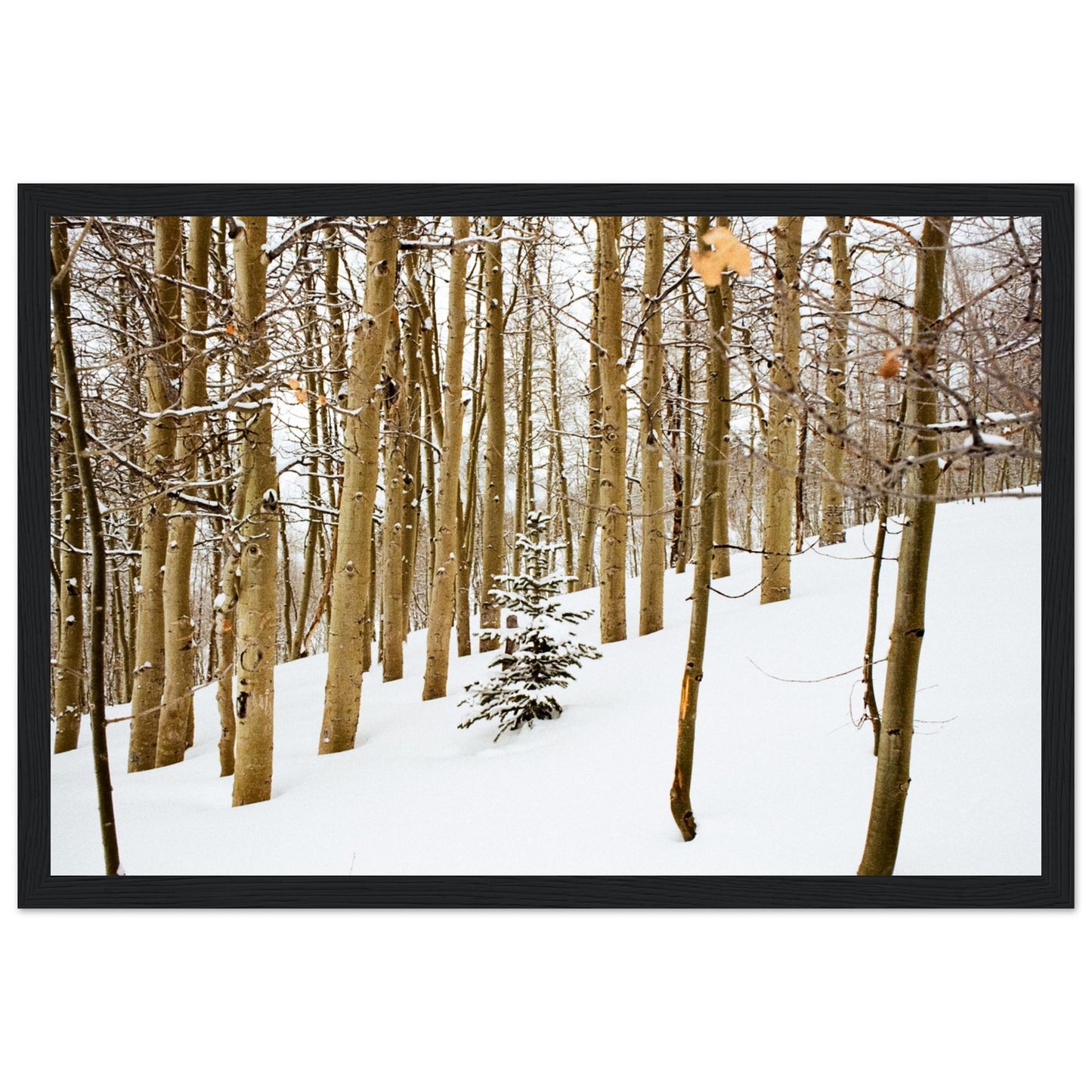 'New Beginnings' - Matte Paper Wooden Framed Print