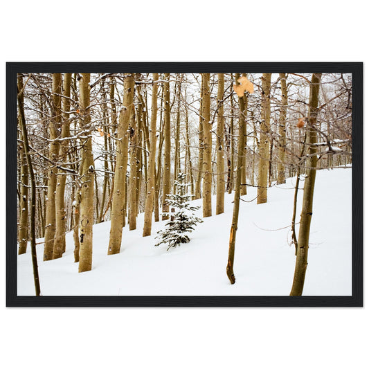 'New Beginnings' - Matte Paper Wooden Framed Print