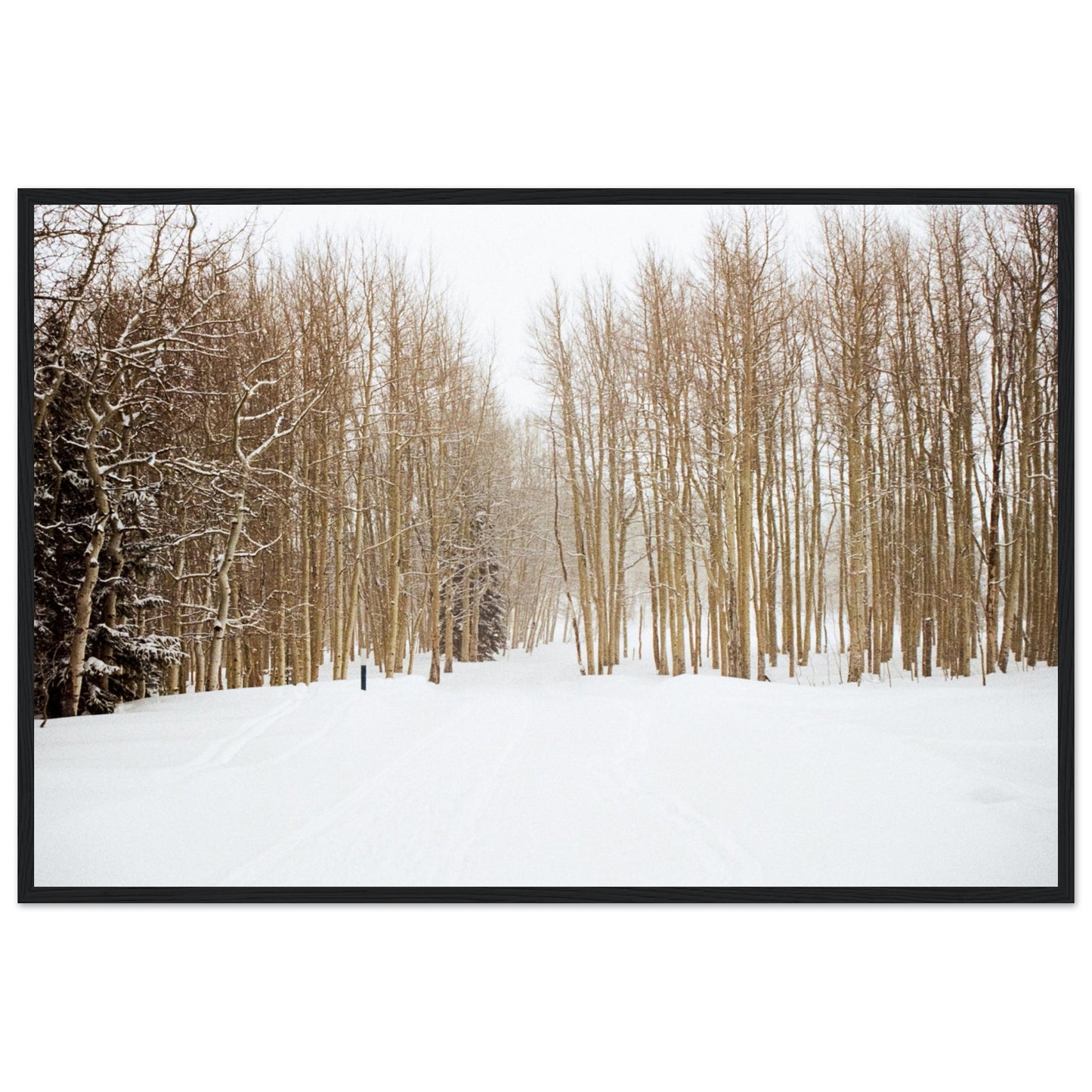 'Snow Trek' - Matte Paper Wooden Framed Print
