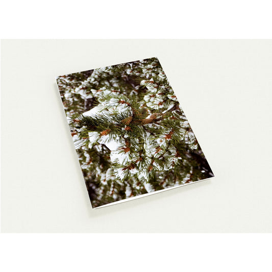 Pack of 10, Christmas, Greeting Cards (with standard envelopes)