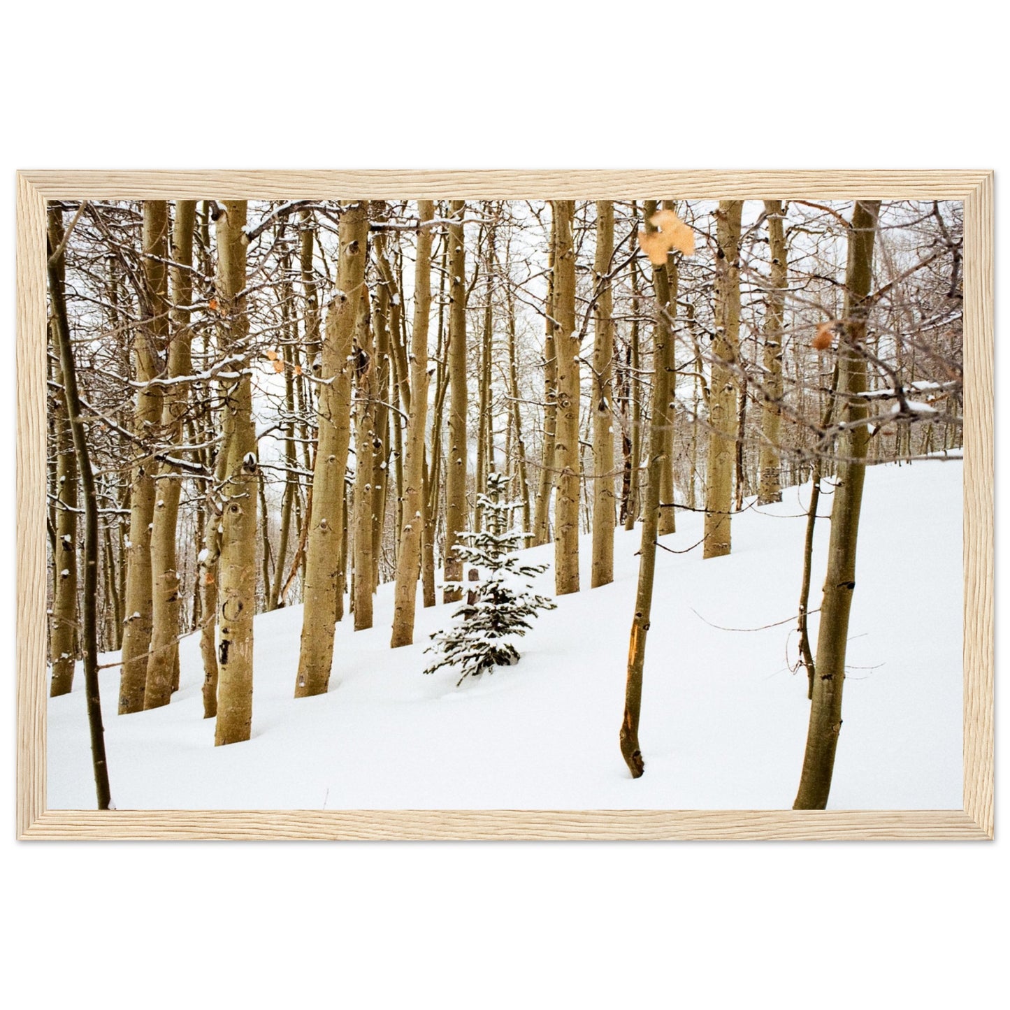 'New Beginnings' - Matte Paper Wooden Framed Print