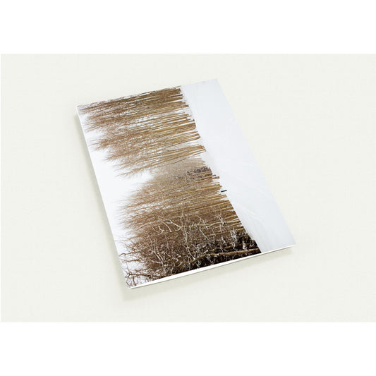 Pack of 10, Christmas, Greeting Cards (with standard envelopes)