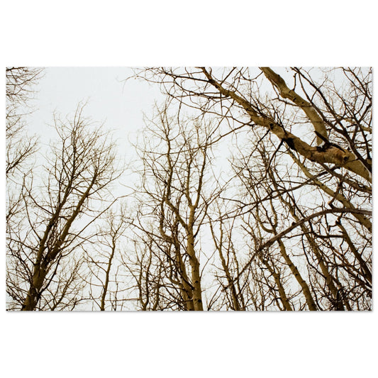 'Tree Tops' - Print on foam board (Christmas)