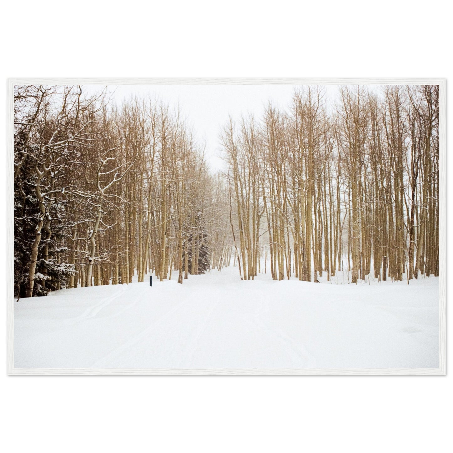 'Snow Trek' - Matte Paper Wooden Framed Print